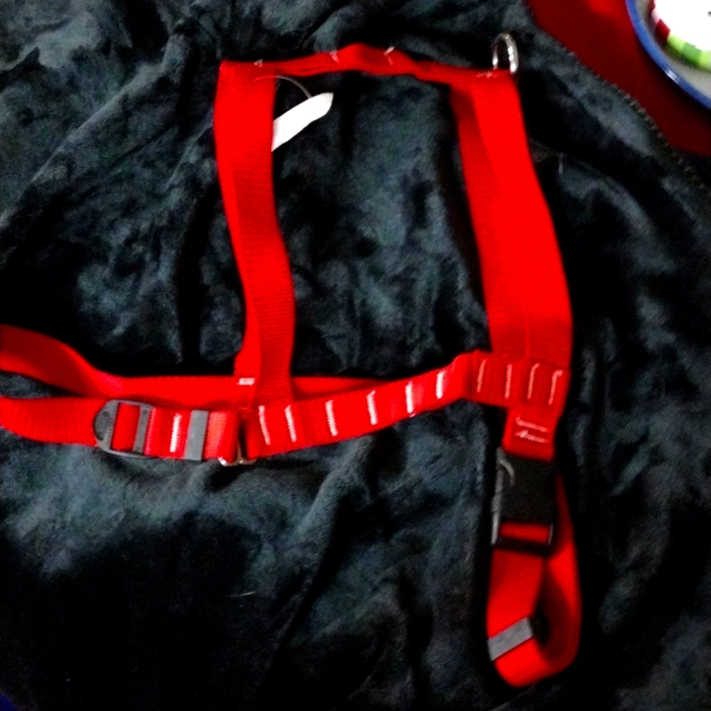 Red dog harness, nylon, easy on and off